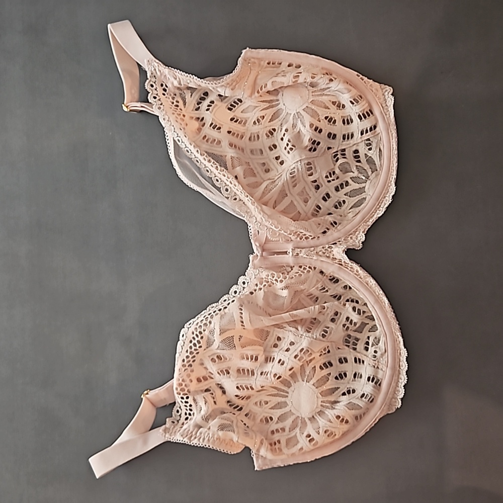Sheer Lace Underwire Bra - Blush Pink